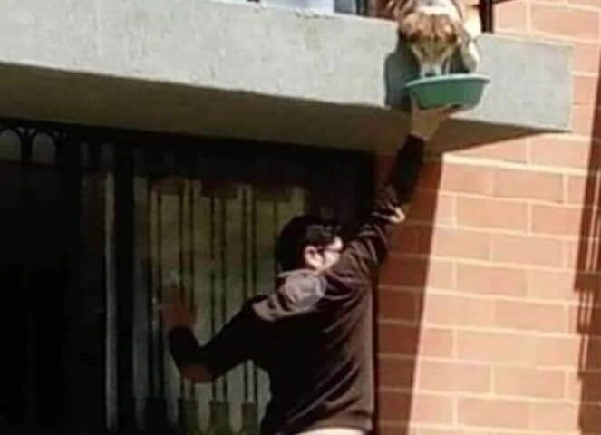 1. cosas buenas que sucedieron en la pandemia