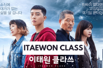 Lecciones de Itaewon Class